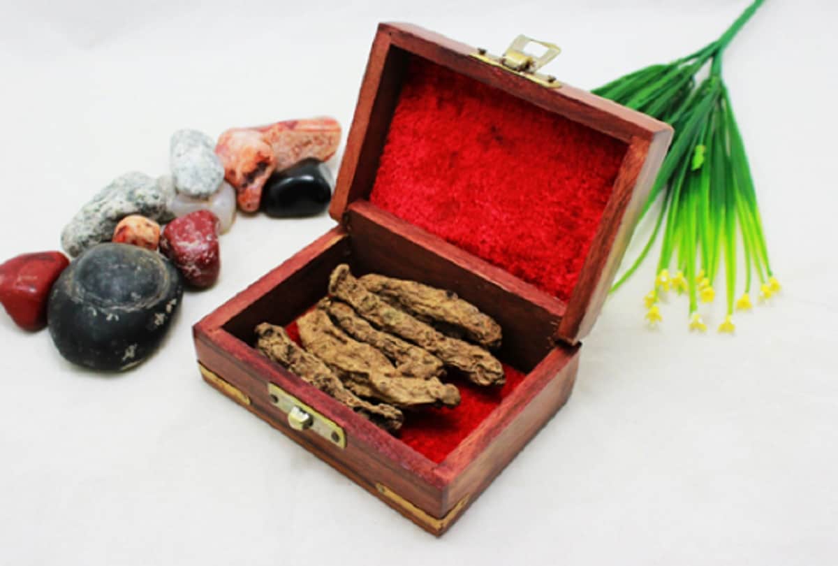 know benifits of kali haldi it will change your life