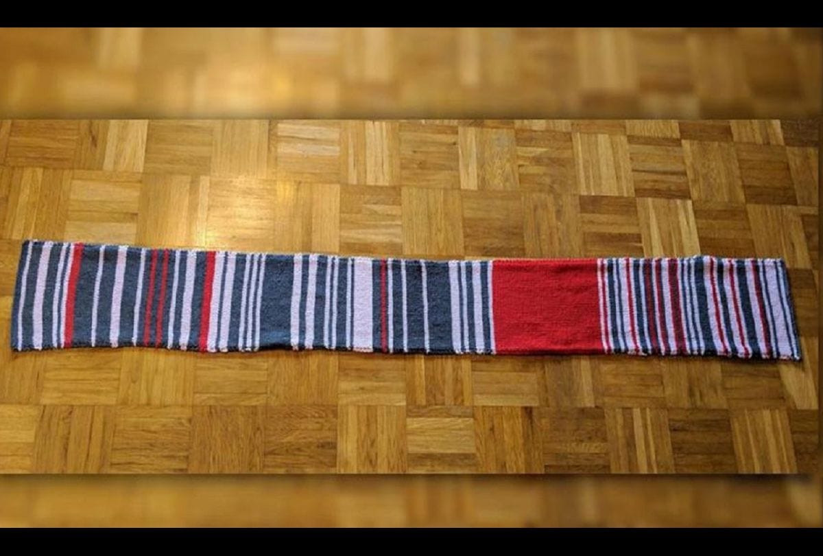 Train operator buys rail delay scarf by german commuter for 6 lakhs
