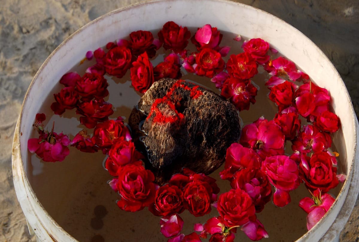 Kumbh 2019: See Miracle in kumbh mela, Floating stone of Treta Yuga
