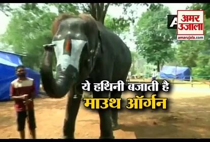 नेशनल न्यूज
