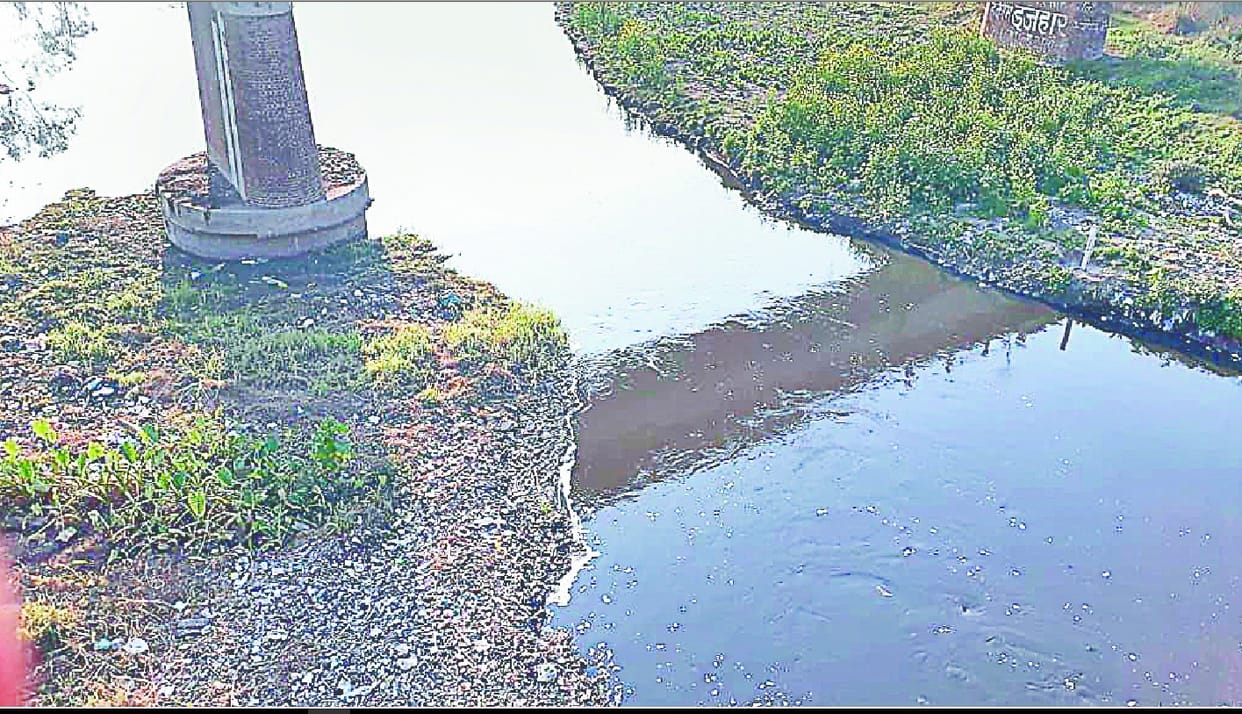 Cancer spreading water flowing in the Black River