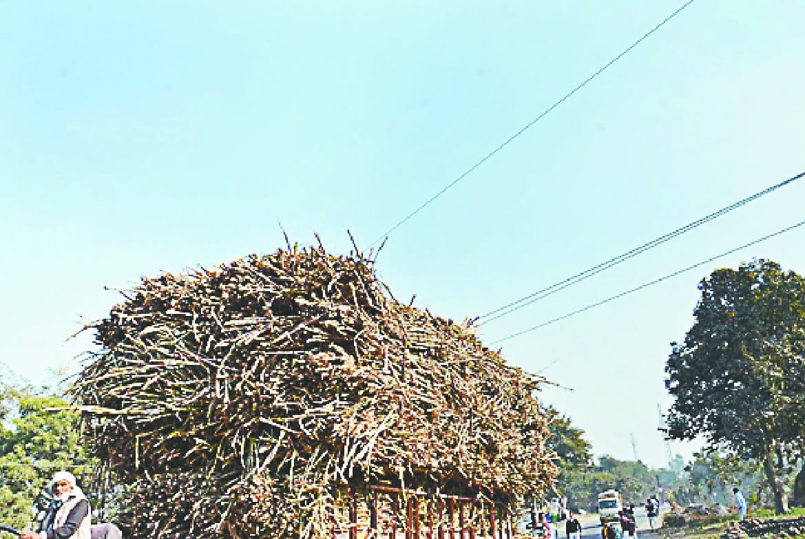 Power line of 33 thousand volts in Rampur