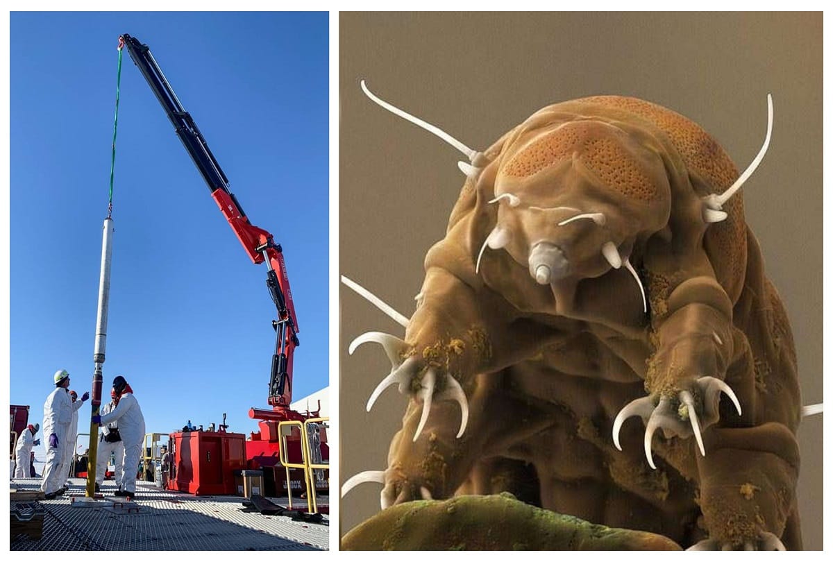 scientists found mysterious creatures in a lost lake 3500 feet under the Antarctic Ice