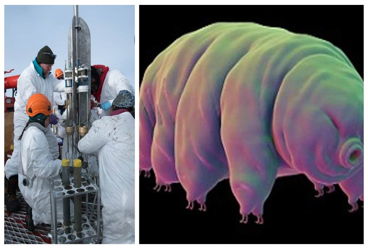 scientists found mysterious creatures in a lost lake 3500 feet under the Antarctic Ice