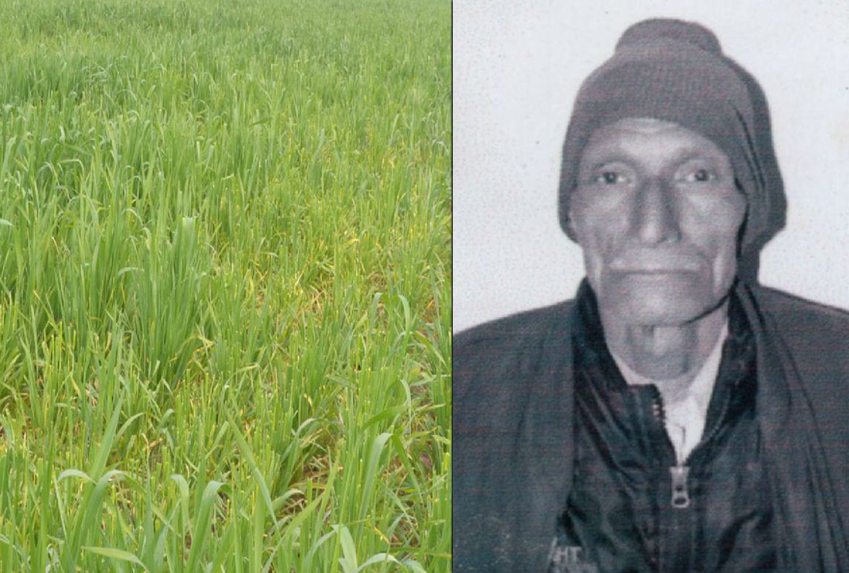 Farmer death due to heart attack after crop damage by stray animals in agra