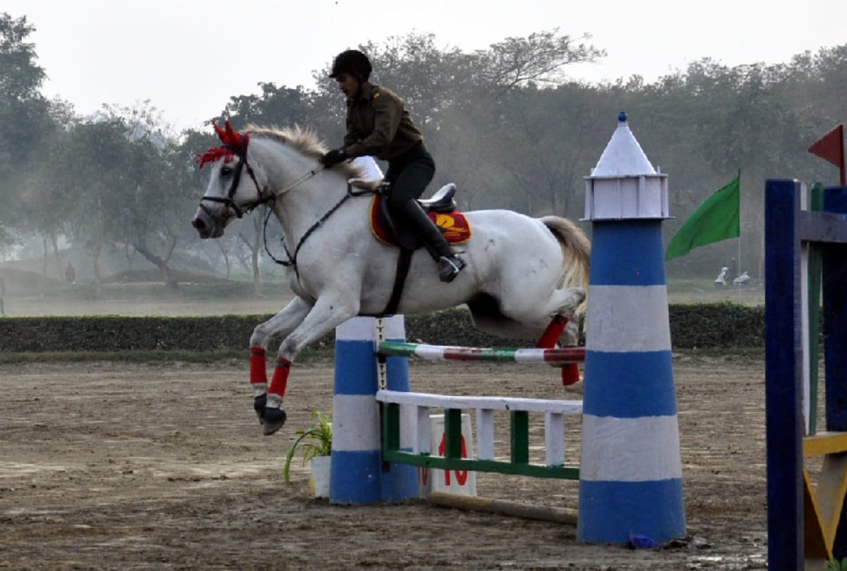 horses, along with horsemen won the hearts in saharanpur remount depot