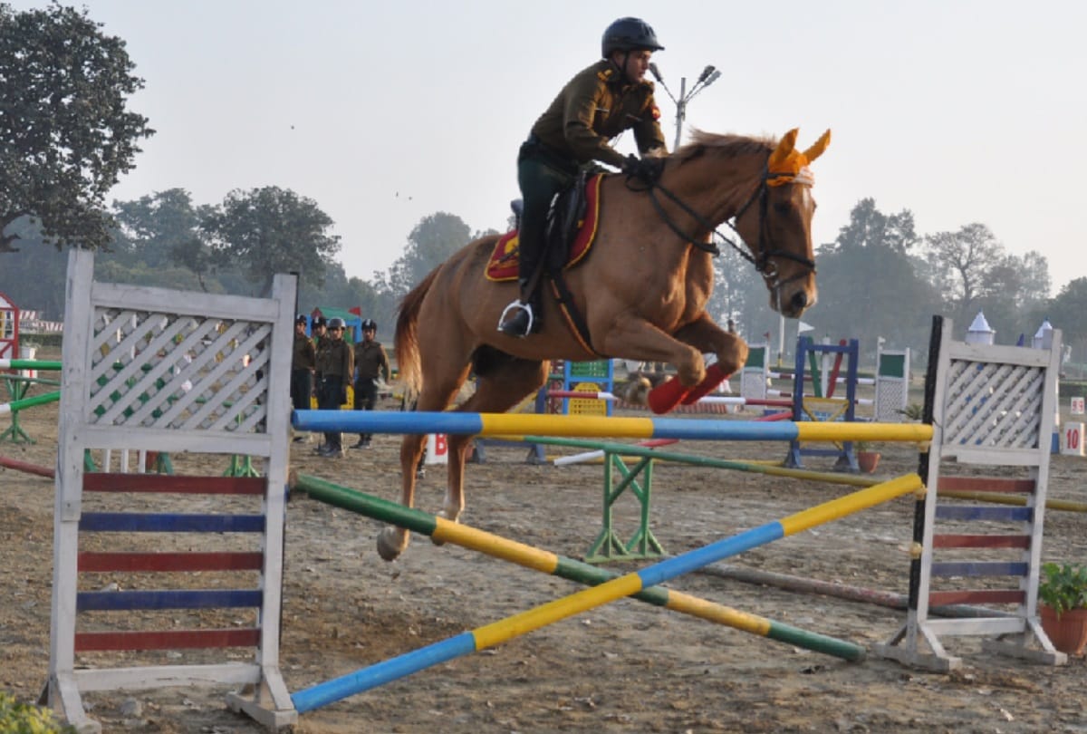 horses, along with horsemen won the hearts in saharanpur remount depot
