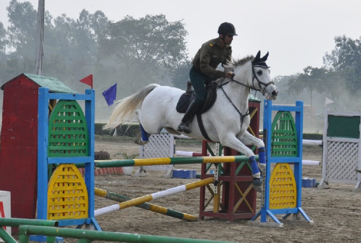 horses, along with horsemen won the hearts in saharanpur remount depot