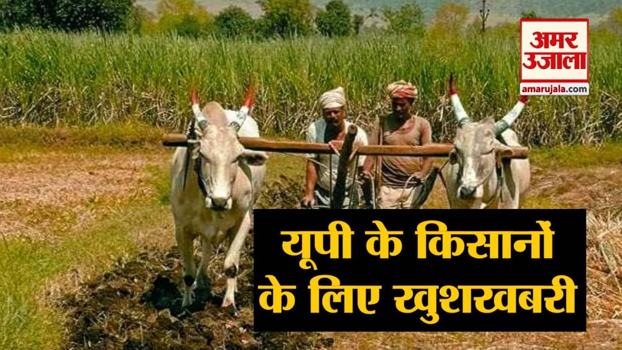 नेशनल न्यूज