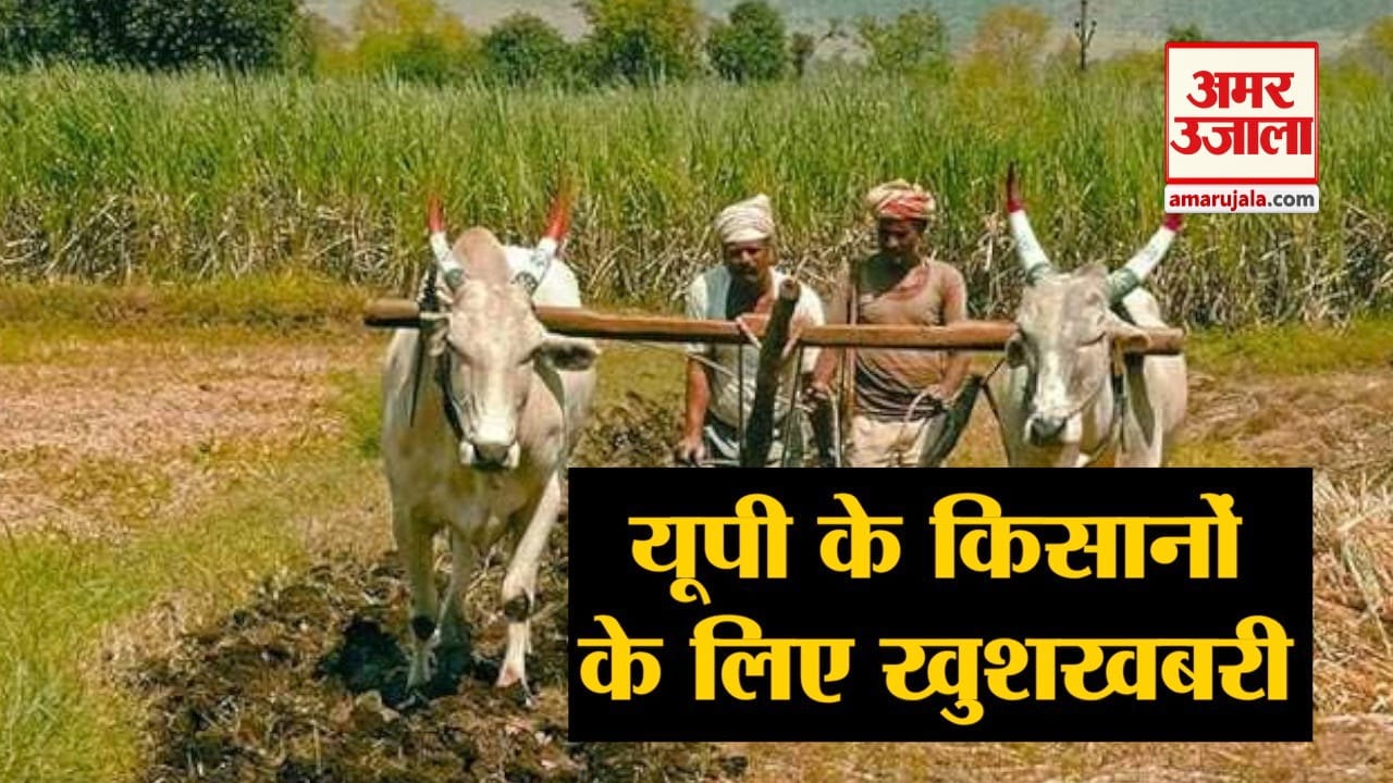 नेशनल न्यूज