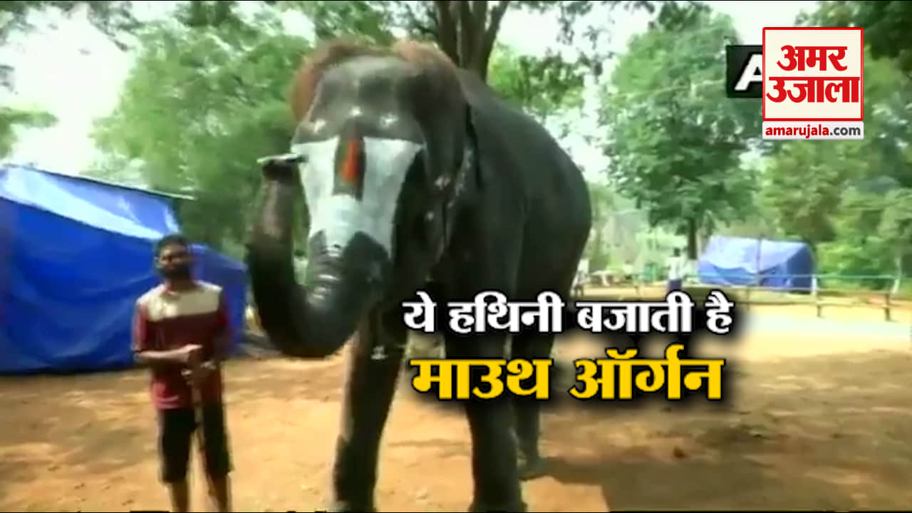 नेशनल न्यूज