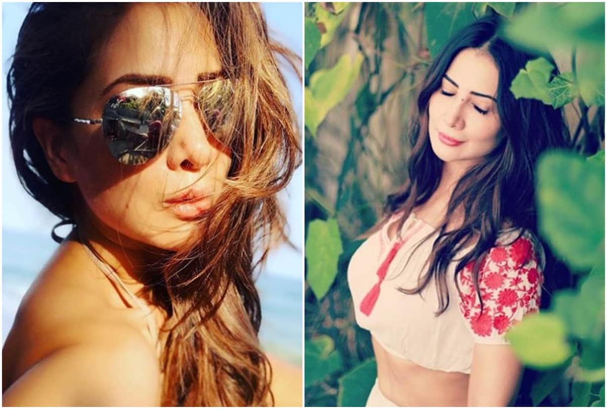 Happy Birthday Kim sharma Know Some unknown facts about her life