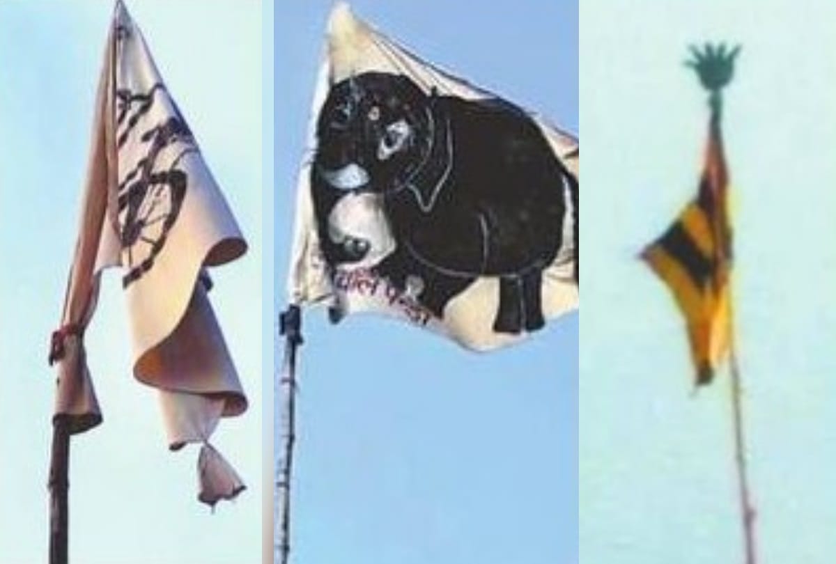 kumbh mela 2019 interesting facts flag telling identity of panda