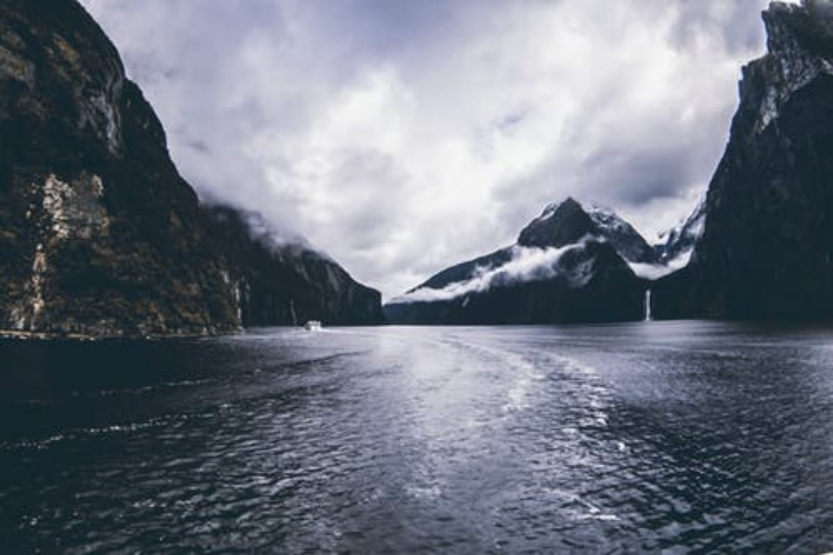 Here you can start business in one day, interesting facts of New Zealand