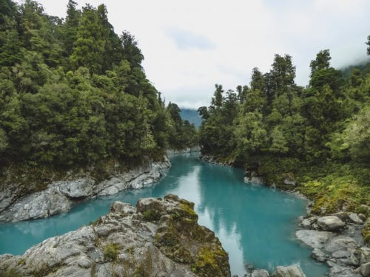 Here you can start business in one day, interesting facts of New Zealand