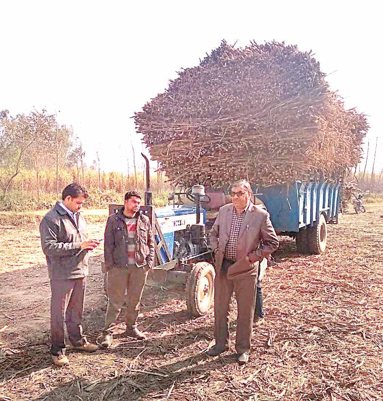 sugar cane laoded trolly sieze