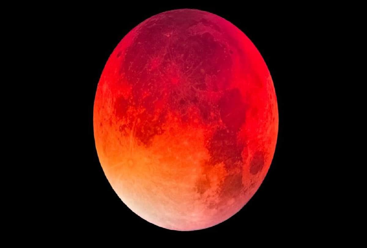 super blood wolf moon Why wolves scream after seeing the red moon