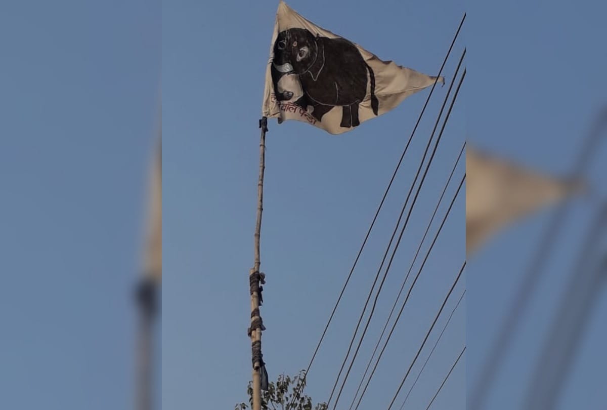Kumbh Mela 2019:The 'Opposition' in favor of Faith, with elephants, paws, bicycles