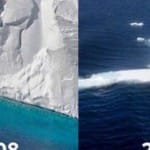 global warming