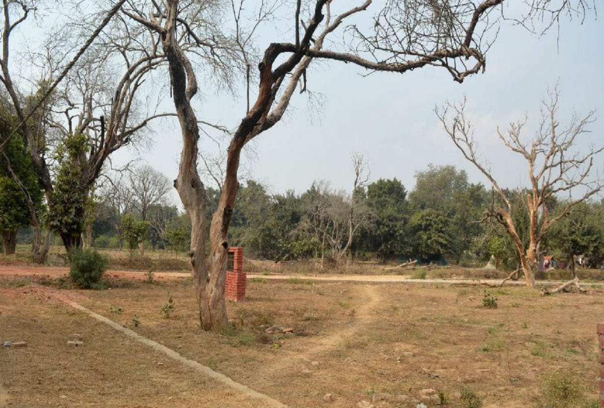 mathura jawaharbagh violence in