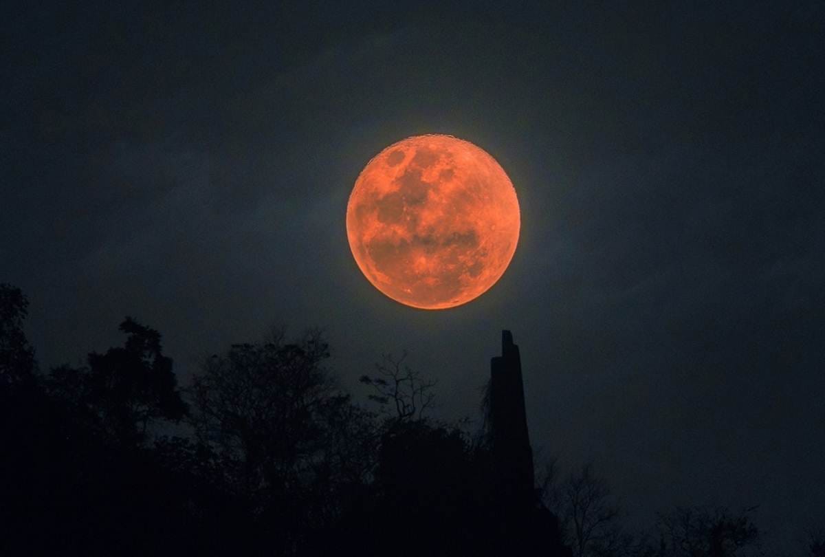 Chandra Grahan November 2021 News chandra grahan 2021 going on 19 november know lunar eclipse 2021 date and impact on zodiac signs
