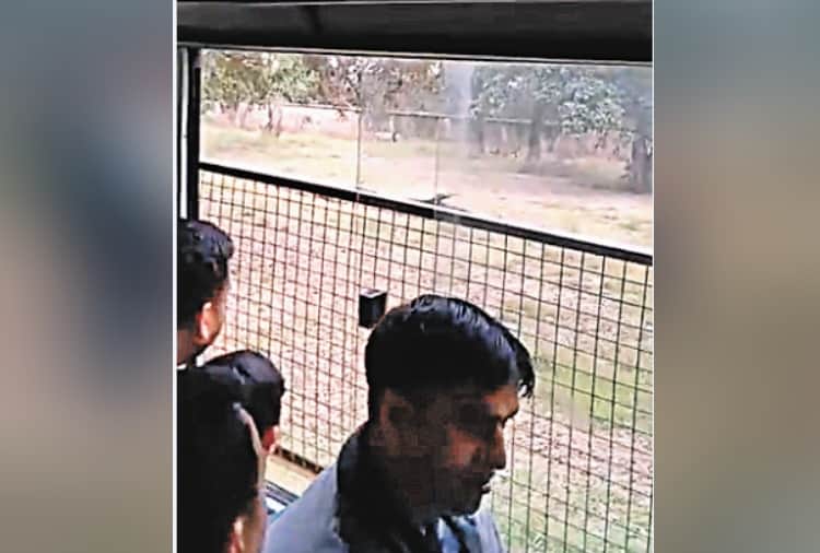 Man mauled by lions in Chhatbir zoo zirakpur, Live Photos