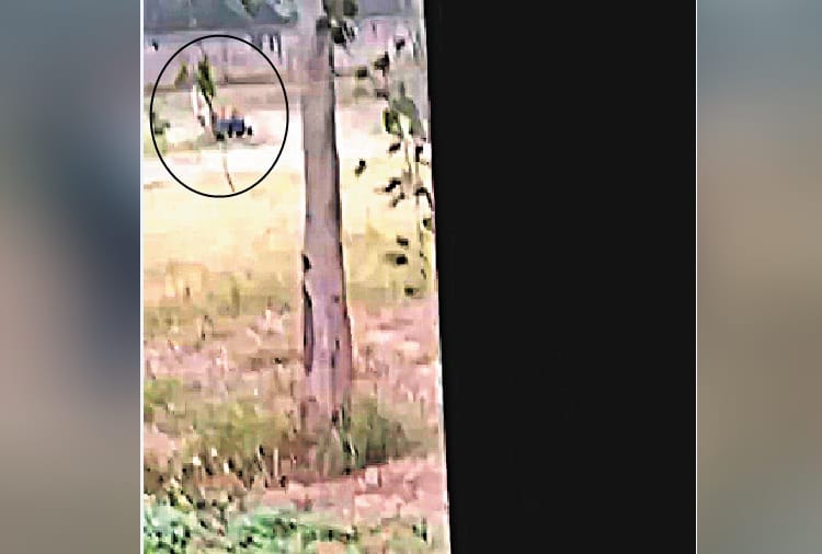 Man mauled by lions in Chhatbir zoo zirakpur, Live Photos