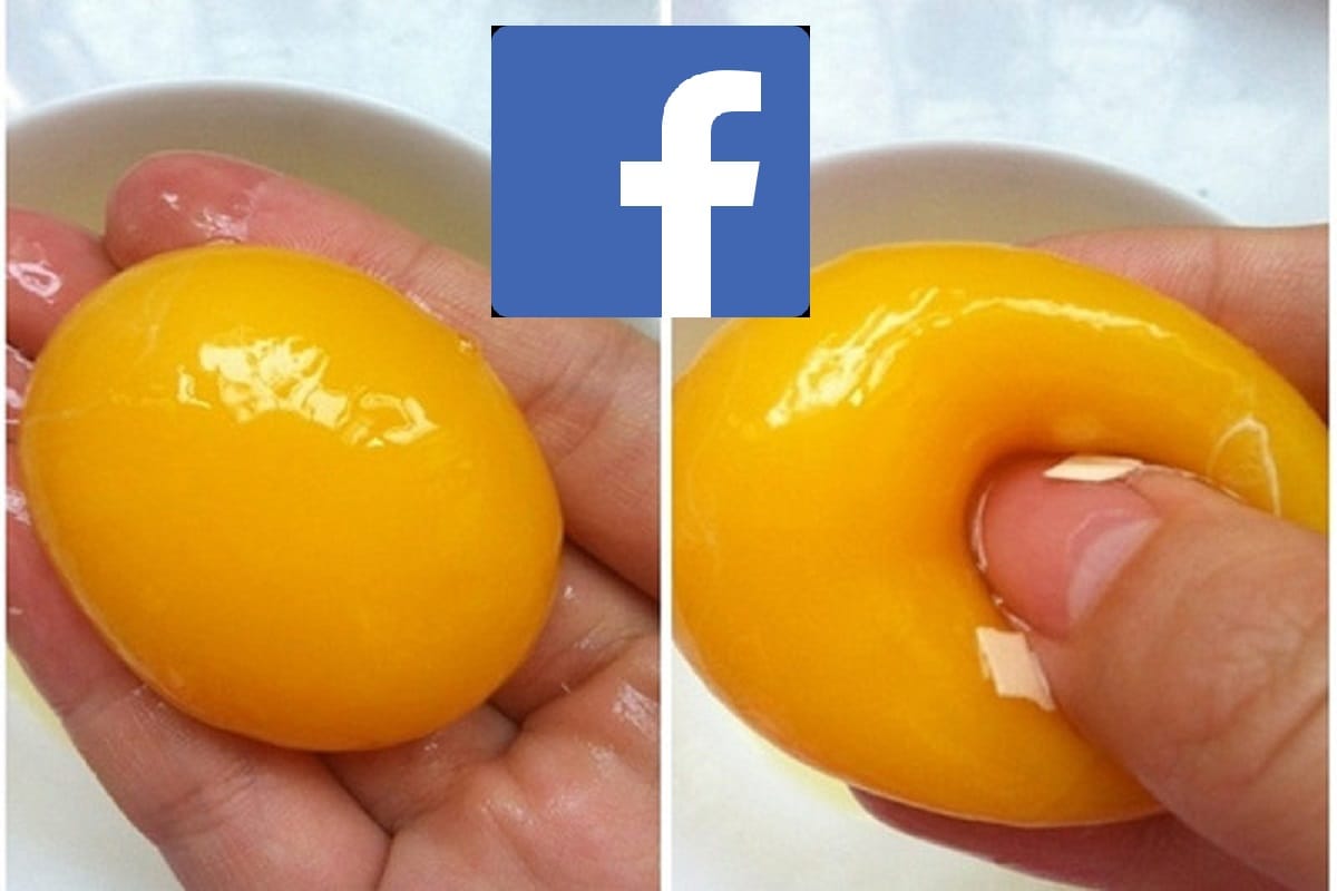 Stop sharing fake videos on food quality on Google, Twitter and Facebook, your account may block