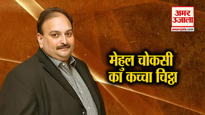 KNOW ALL ABOUT MEHUL CHOKSI AND PNB SCAM