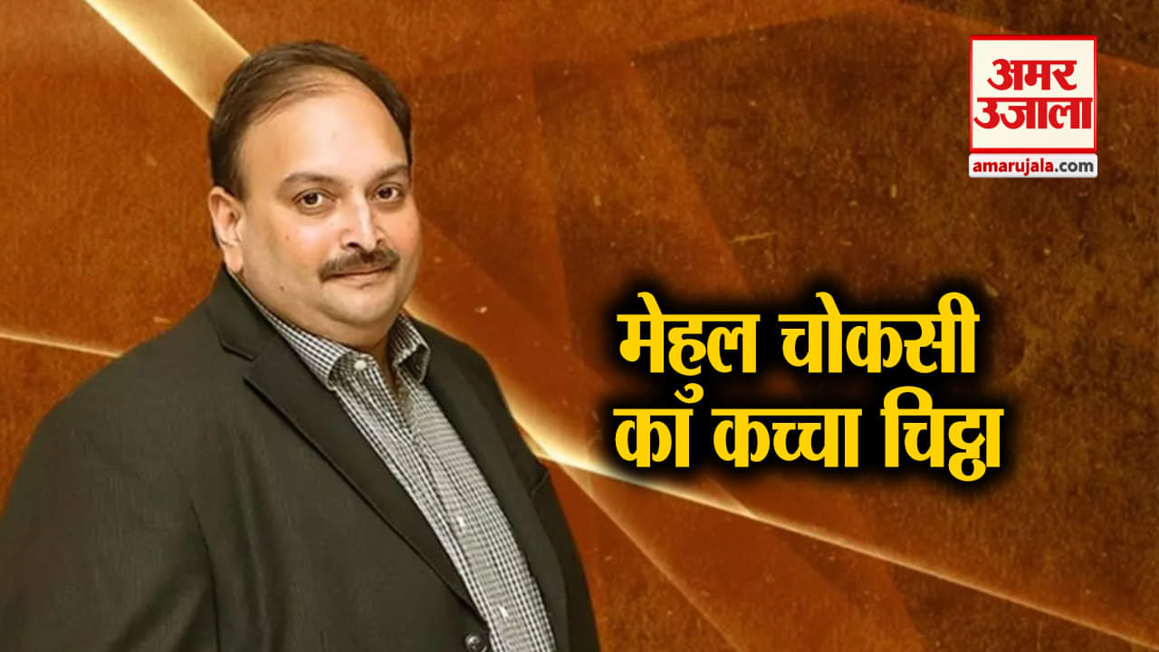 नेशनल न्यूज