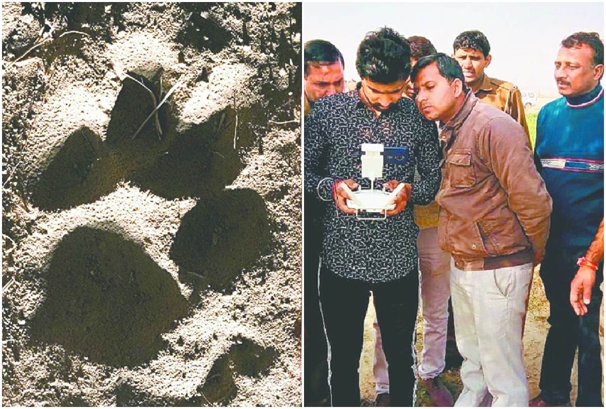 Leopard paws marks found in gurugram