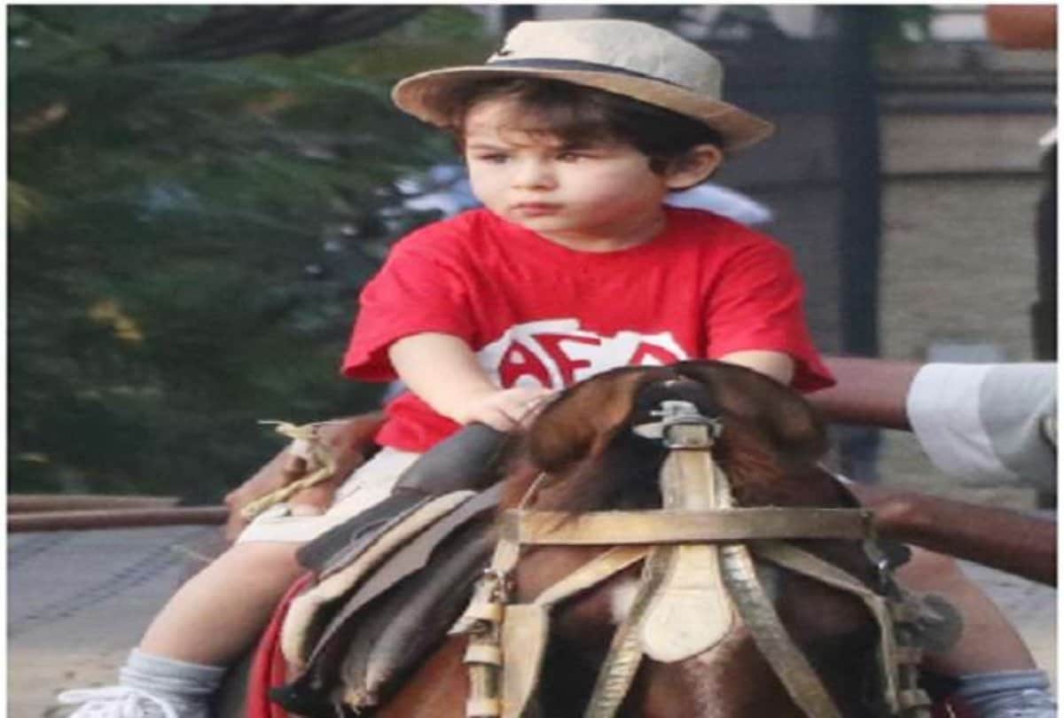 taimur ali khan is seen doing horse riding