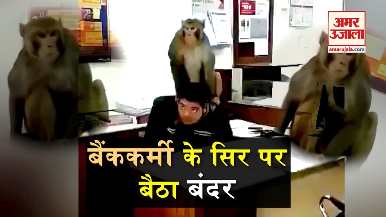 viral video