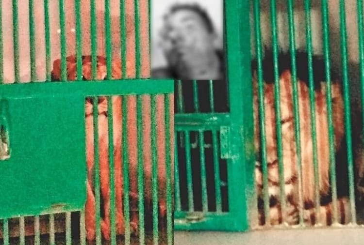 New revealing on chhatbir zoo case, after lion couple killed youth