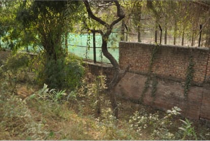 New revealing on chhatbir zoo case, after lion couple killed youth