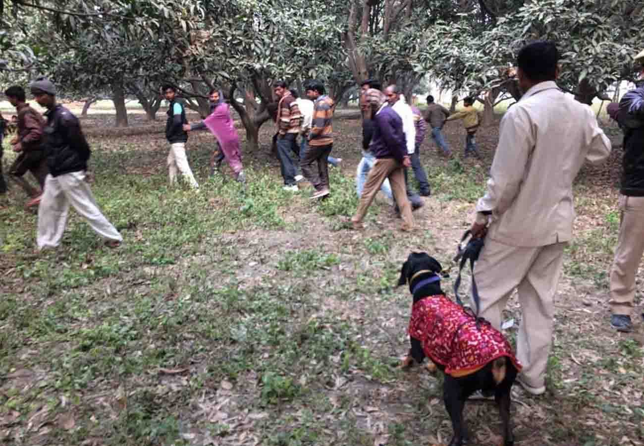lovers committed suicide in unnao district