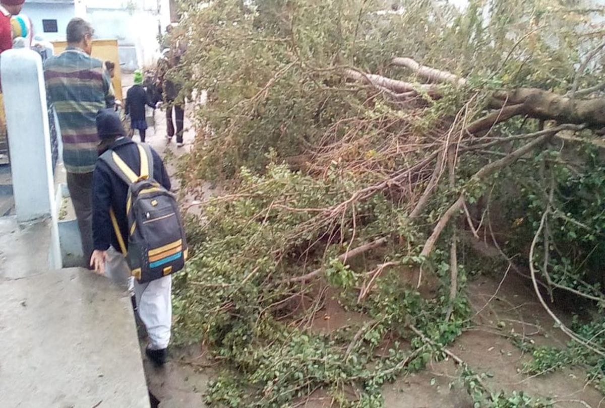 crops damaged due to heavy rain and hail in agra mathura