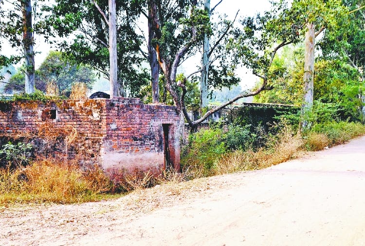 a man killed by lions in chhatbir zoo zirakpur, questions raised on zoo care takers