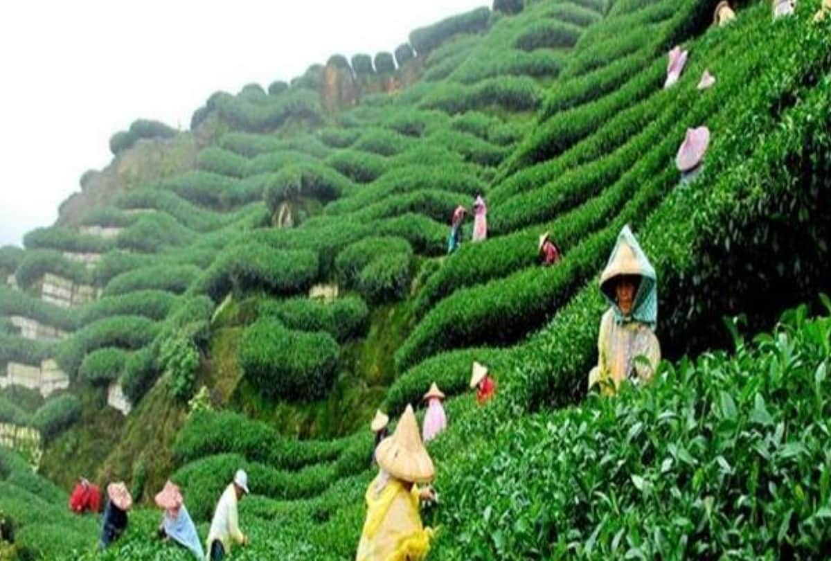 these are the best honeymoon destination of india in summer