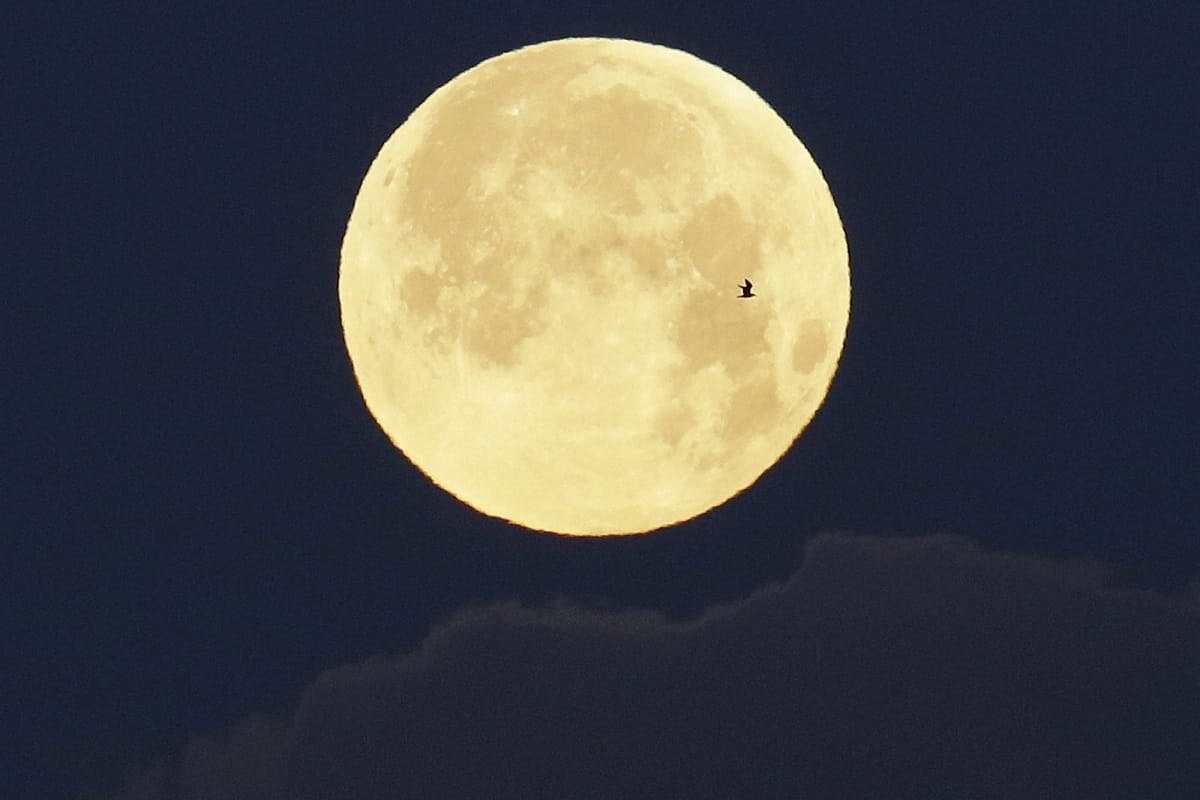 Third lunar eclipse of the year will be held on July 5