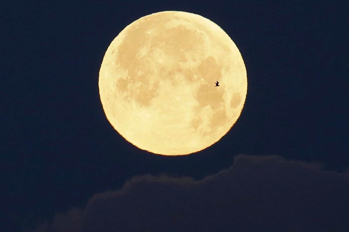 Last lunar eclipse of the year on 30 November