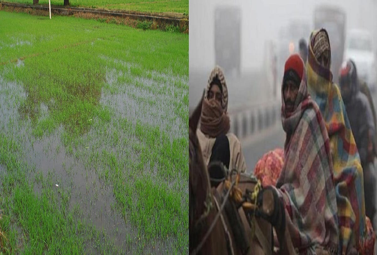 Meerut, Rain and hailstones in western UP, the benefits of wheat crop