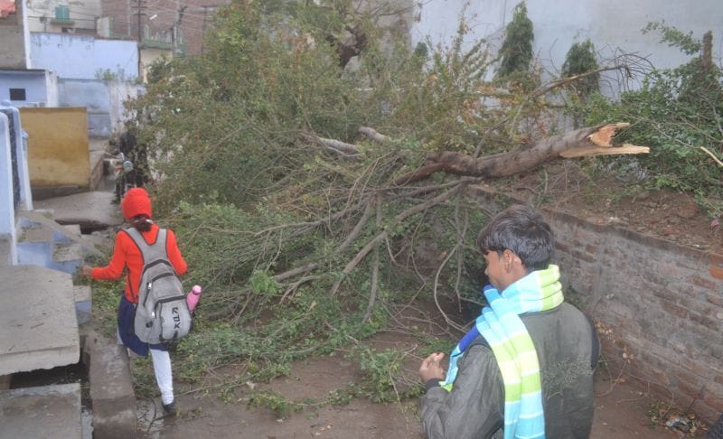 तेज हवाओं के साथ हुई बारिश, कई होर्डिंग और पेड़ गिरे