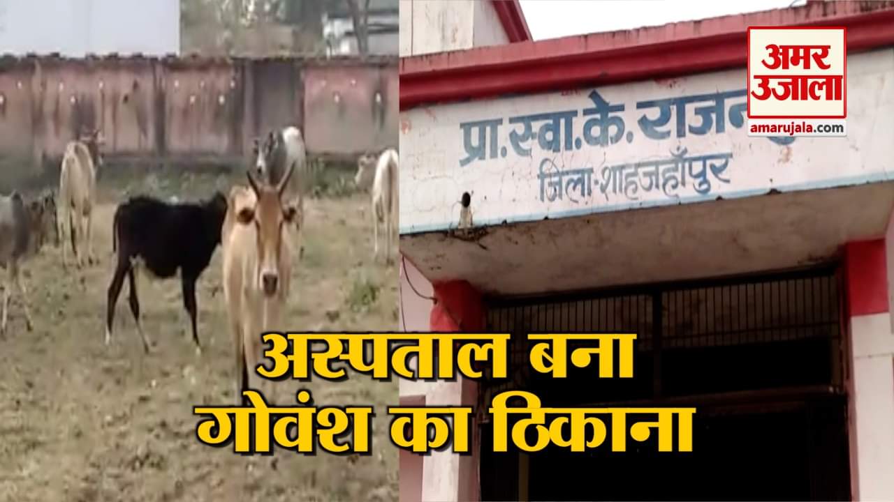 शहाजहांपुर