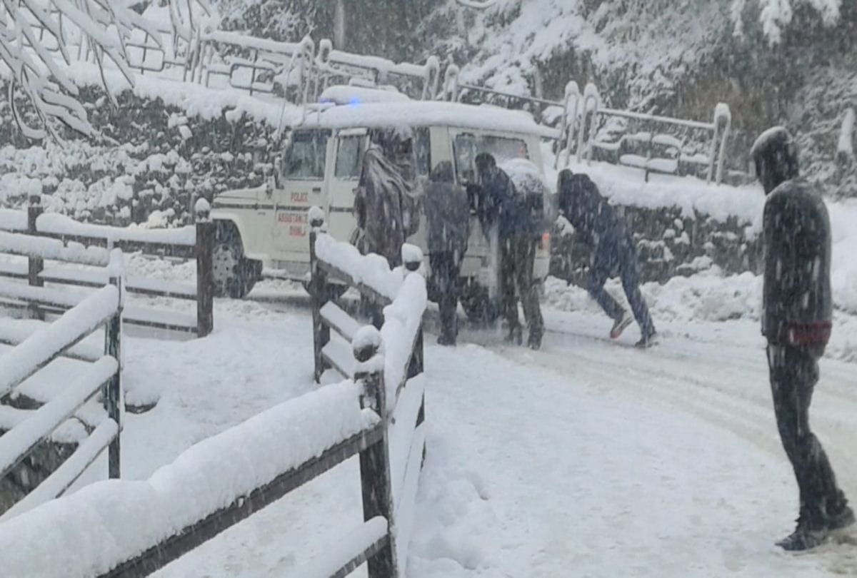 fresh snowfall pics on himachal pradesh and shimla city