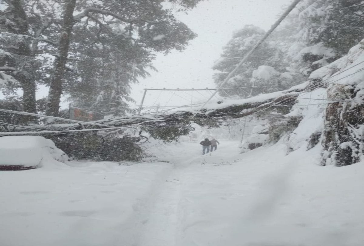 fresh snowfall pics on himachal pradesh and shimla city