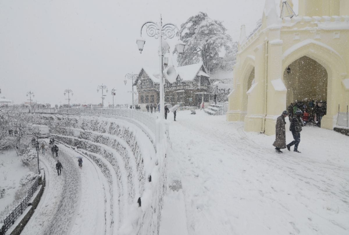 fresh snowfall pics on himachal pradesh and shimla city