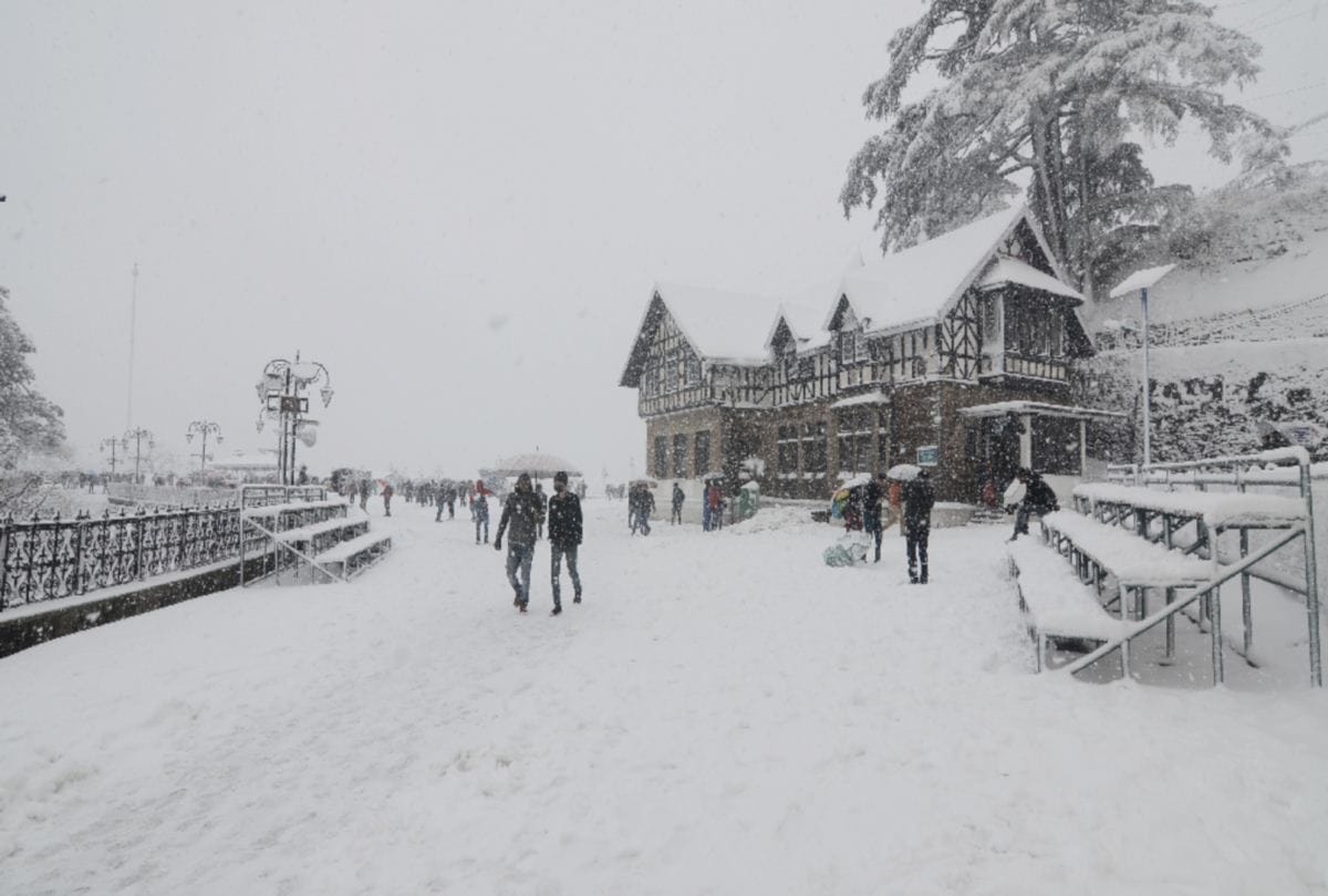 fresh snowfall pics on himachal pradesh and shimla city