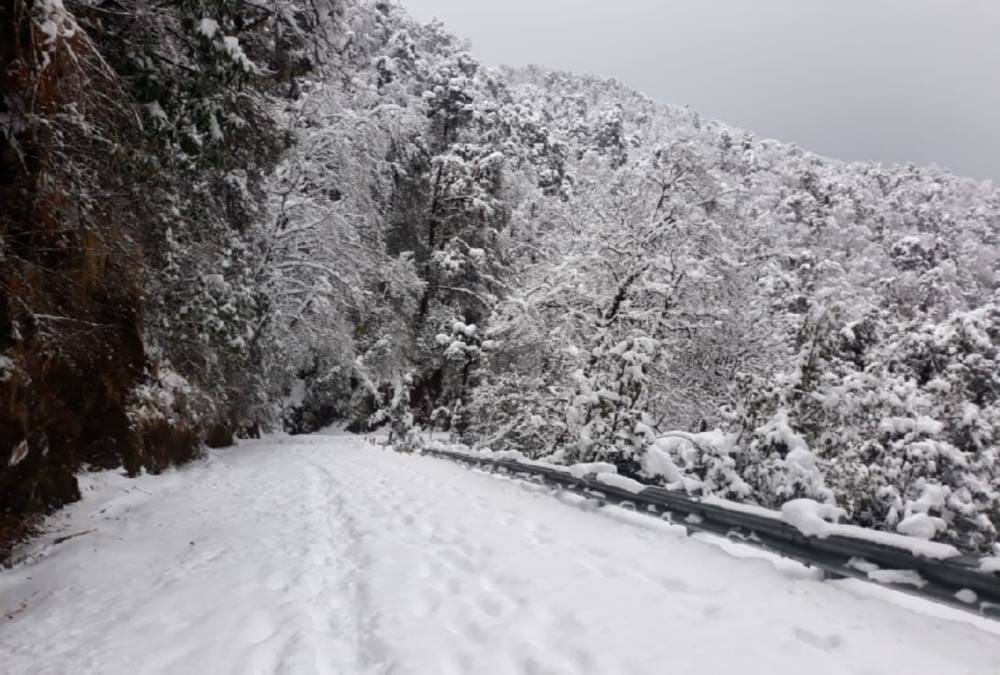 Snowfall Blocked many villages roads in uttarakhand photos