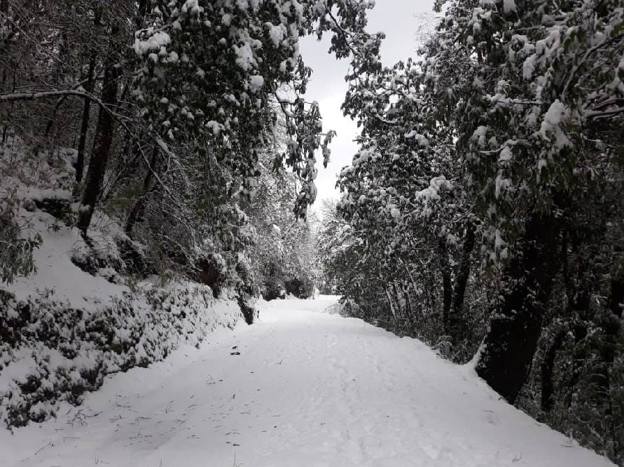 Snowfall Blocked many villages roads in uttarakhand photos